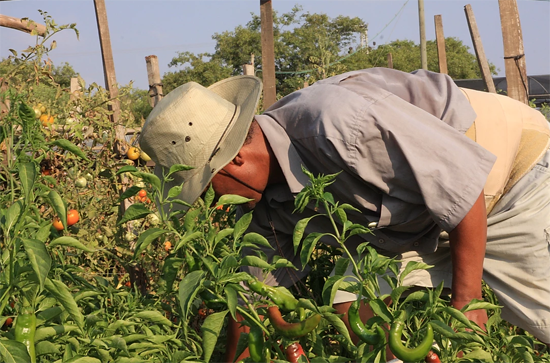 Hineni Atachlit Beta Israel Village working the field