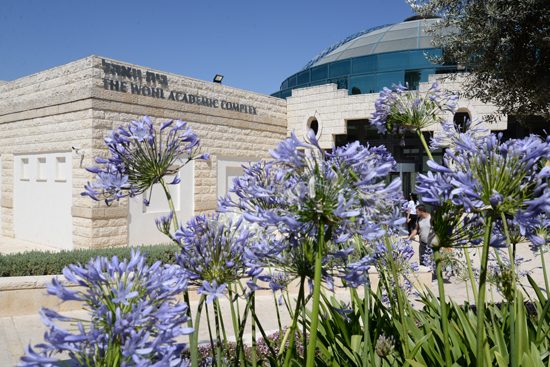 The Wohl Academic Complex Zefat